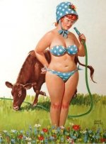 afcf3838bf284a5a7a859f240d58a68e--pin-up-vintage-pin-up-girls.jpg