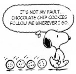 b1da2f6fc4b0abeba5b7a06f72bb5385--snoopy-peanuts-charlie-brown.jpg