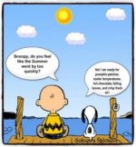 35260026a7bc5f78acb1298d9911a744--snoopy-peanuts-charlie-brown.jpg