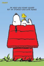 snoopy-woodstock-i3184.jpg