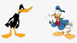 488-4885438_daffy-duck-woth-donald-png-image-daffy-duck.jpg