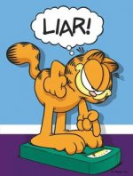 ed56e3f916daf2012a363aaa48a10e41--funny-diet-garfield-quotes.jpg