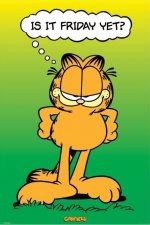 garfield-is-it-friday-yet-i6911.jpg