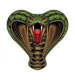 king-cobra-head-mascot-logo_160921-12.jpg