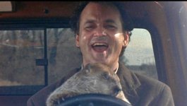 bill-murray-i-ground-hog-day.jpg