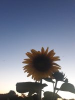 20210806_204149.jpg