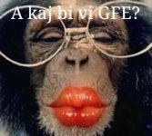 Funny Monkey in Glasses_1.jpg